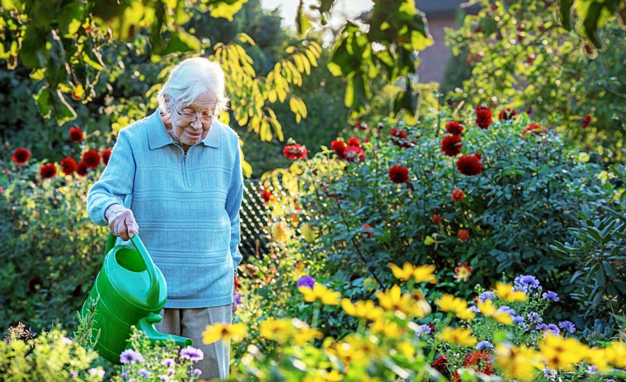 How Do Care Homes Use Routine To Support Residents With Dementia